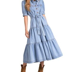 Elan denim dress